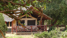 ndololo safari camp tent ndololo safari camp tent