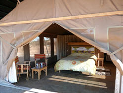 sentrim amboseli lodge tent