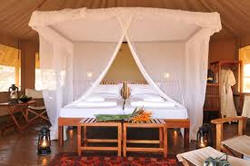 severin safari camp