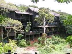shimba hills tree lodge
