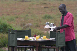 Taita Hill game sanctuary bush breakfast