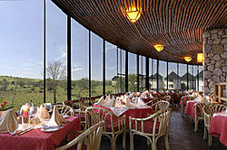 saltlick lodge dining view