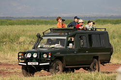 land cruiser safari land cruiser safari