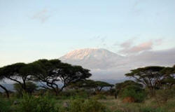 mount kilimanjaro view