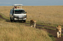 safari tour van